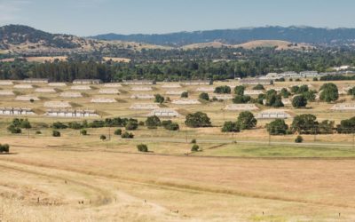 CCA Condemns the City Council Seeno Decision